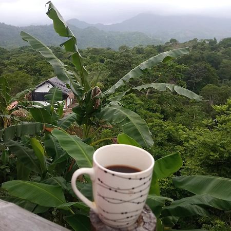 Hostal Mirador Dentro Del Parque Tayrona Эль-Саино Экстерьер фото