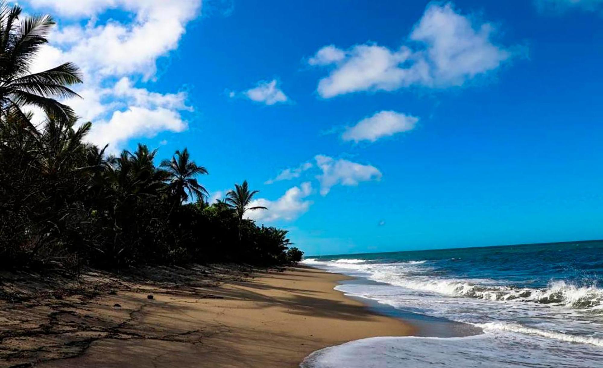 Hostal Mirador Dentro Del Parque Tayrona Эль-Саино Экстерьер фото