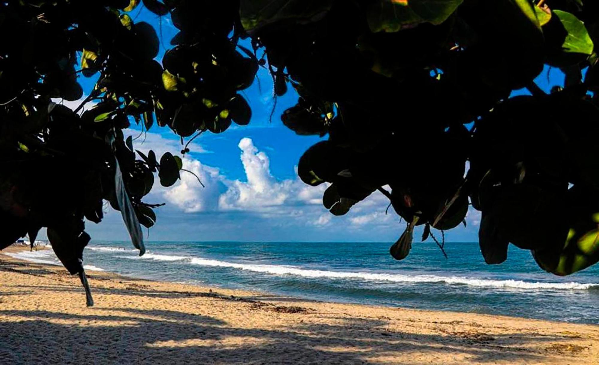 Hostal Mirador Dentro Del Parque Tayrona Эль-Саино Экстерьер фото