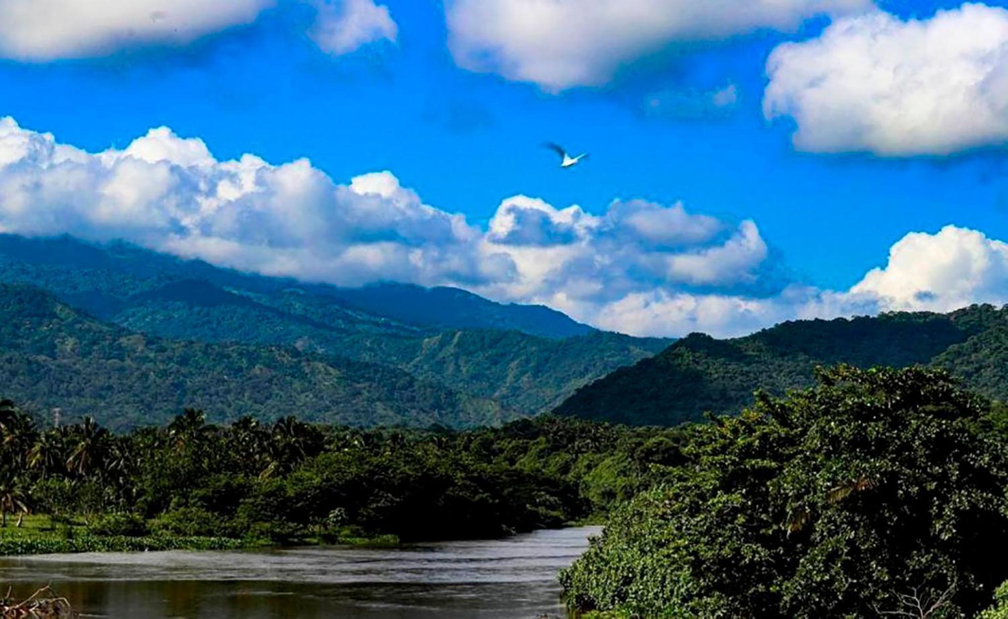 Hostal Mirador Dentro Del Parque Tayrona Эль-Саино Экстерьер фото