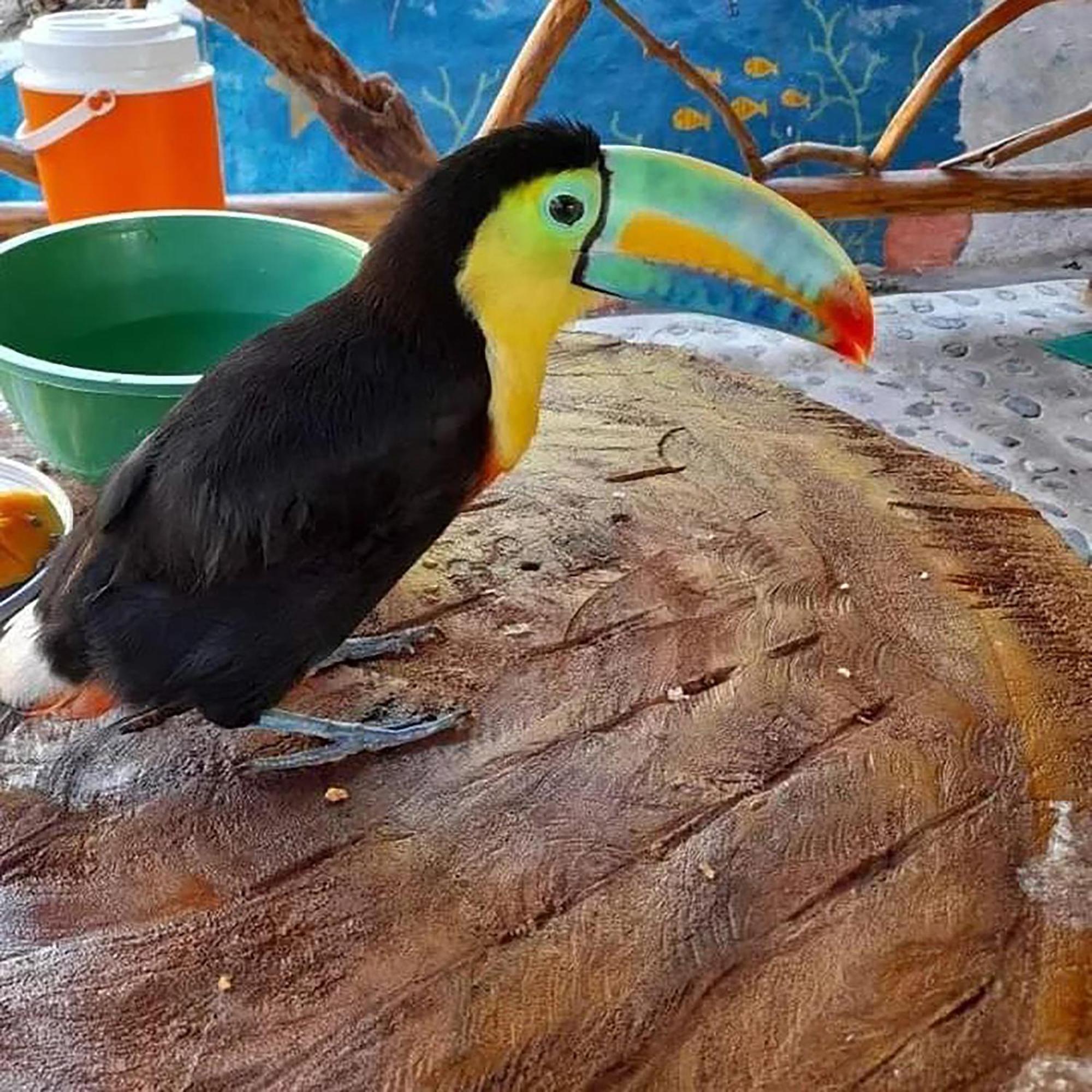 Hostal Mirador Dentro Del Parque Tayrona Эль-Саино Экстерьер фото