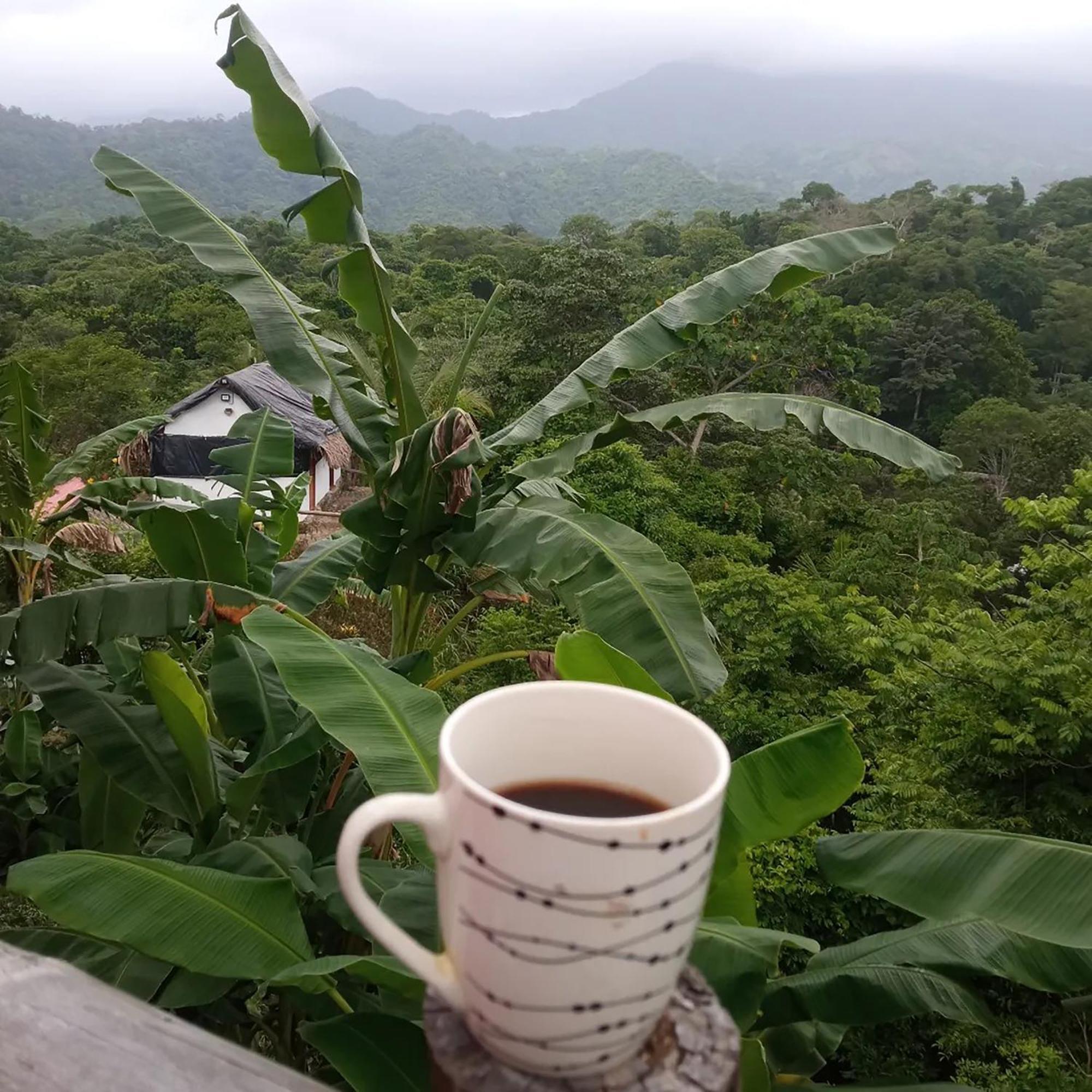Hostal Mirador Dentro Del Parque Tayrona Эль-Саино Экстерьер фото