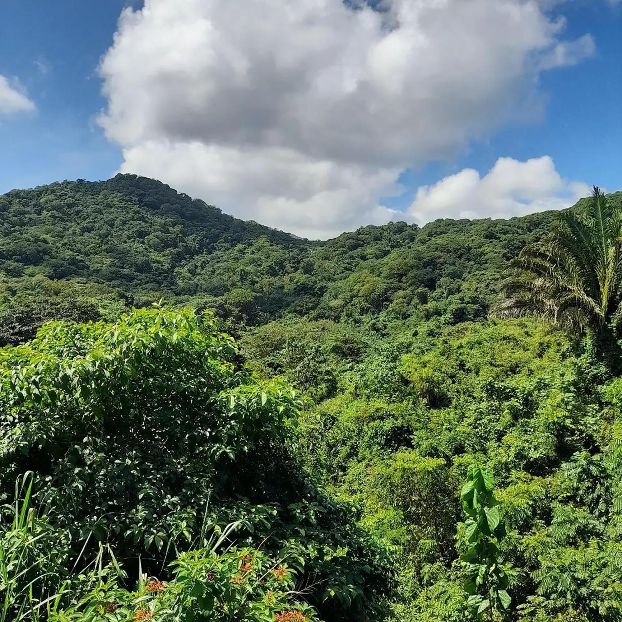 Hostal Mirador Dentro Del Parque Tayrona Эль-Саино Экстерьер фото