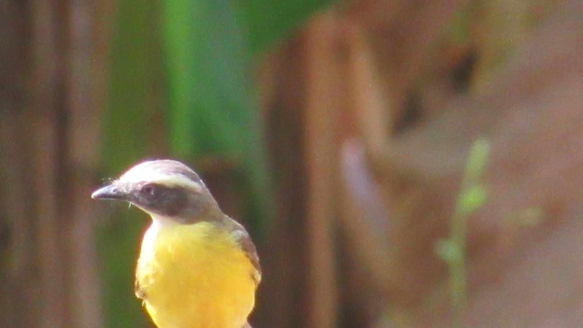Hostal Mirador Dentro Del Parque Tayrona Эль-Саино Экстерьер фото