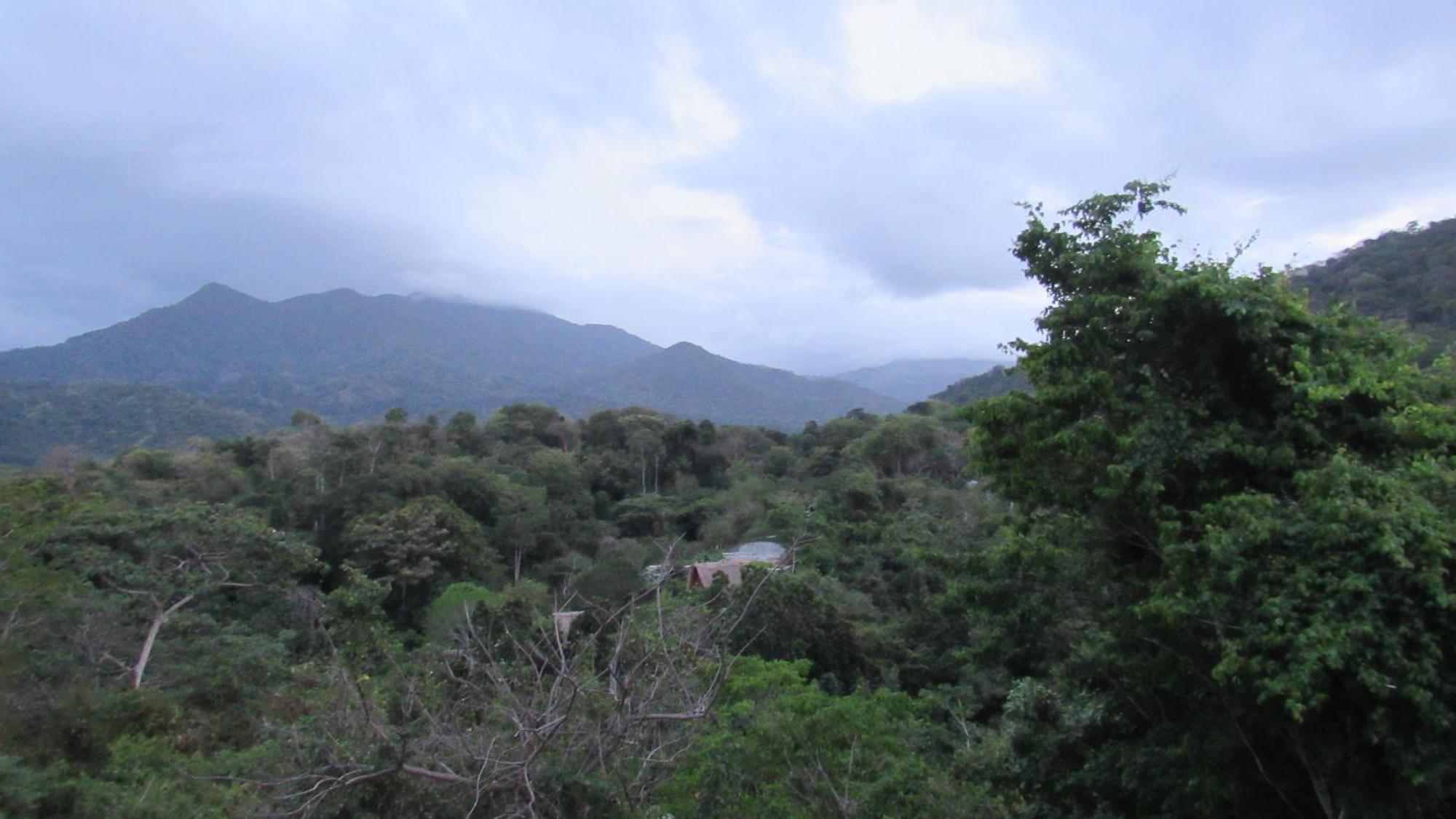 Hostal Mirador Dentro Del Parque Tayrona Эль-Саино Экстерьер фото