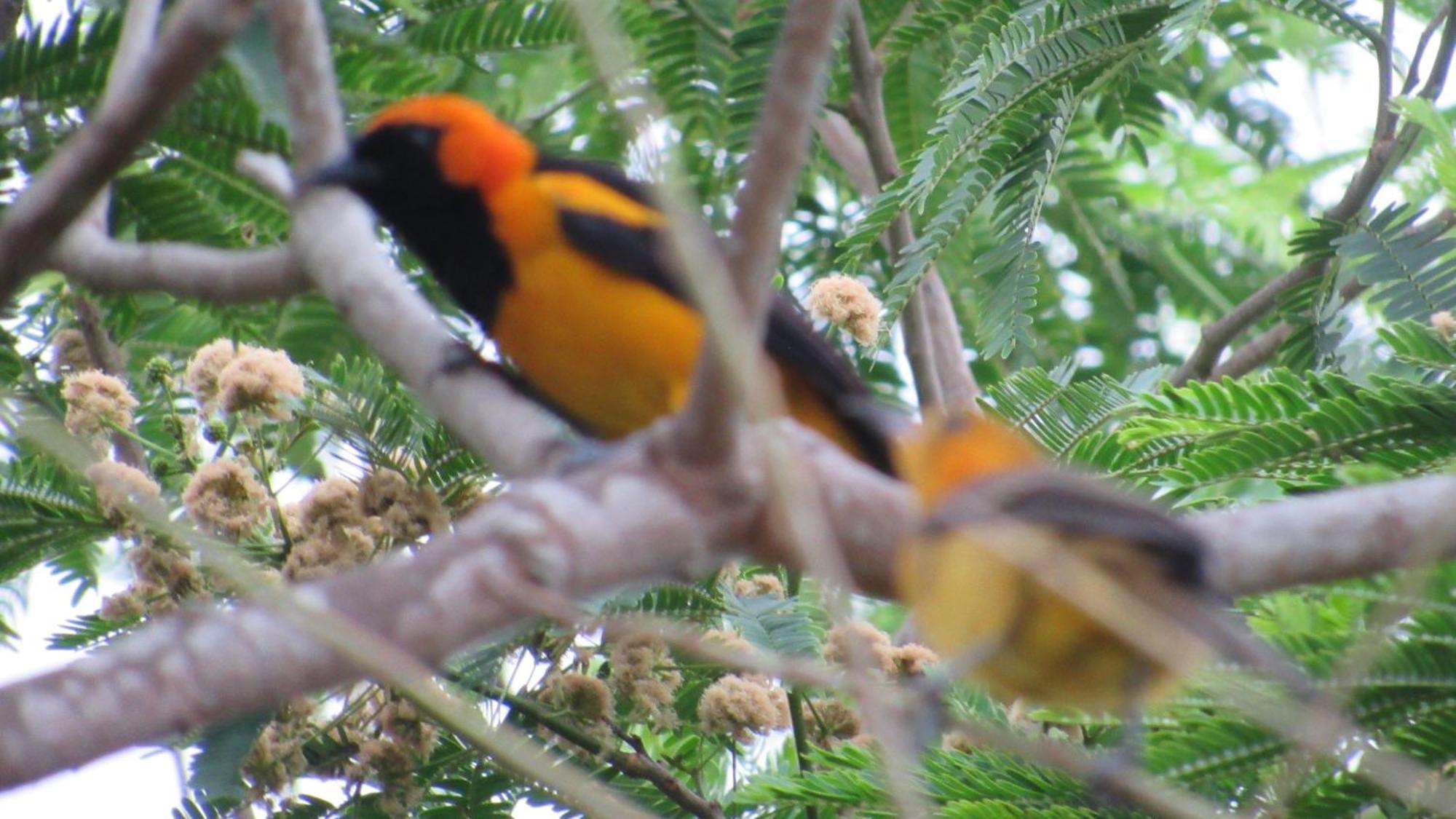 Hostal Mirador Dentro Del Parque Tayrona Эль-Саино Экстерьер фото